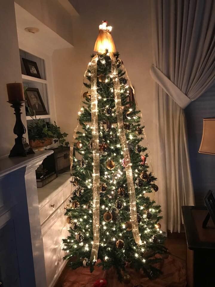 My students did an outstanding job of decorating the tree! I am sooo proud of them♥️