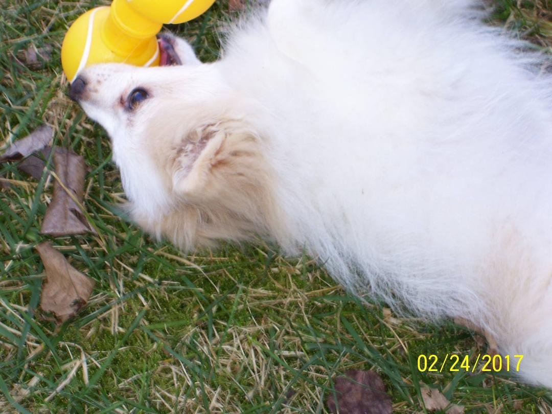Becky Datson's album, Timeline Photos