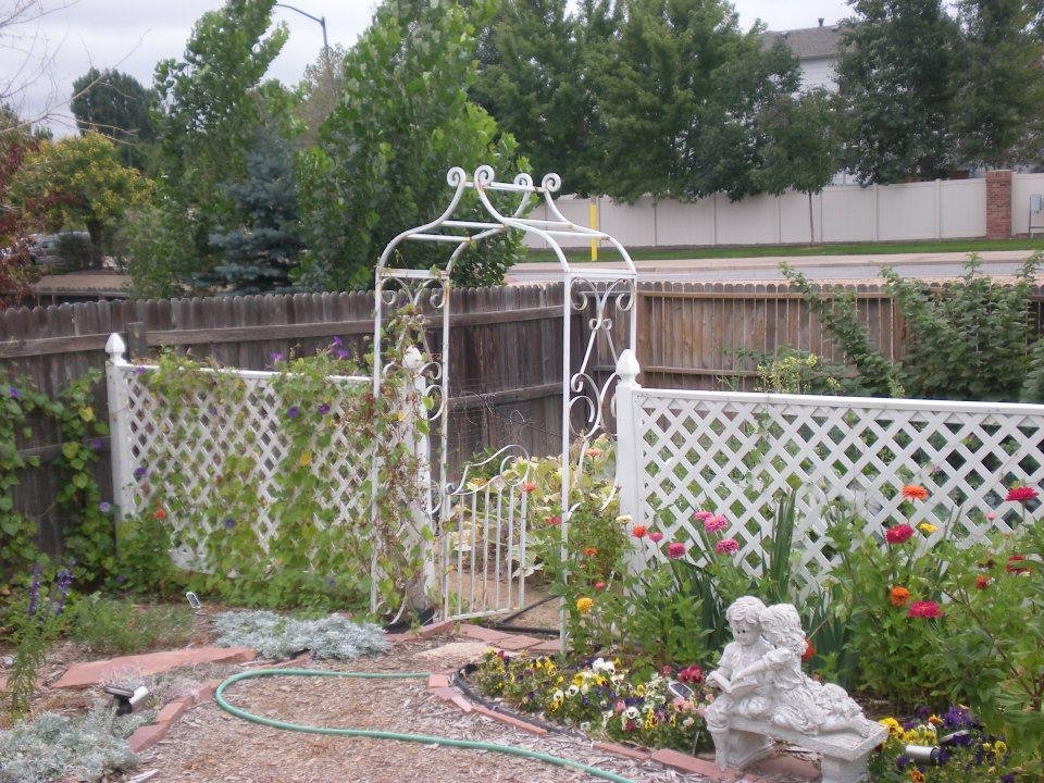 Alan Cunningham's album, our backyard  9-14-2011