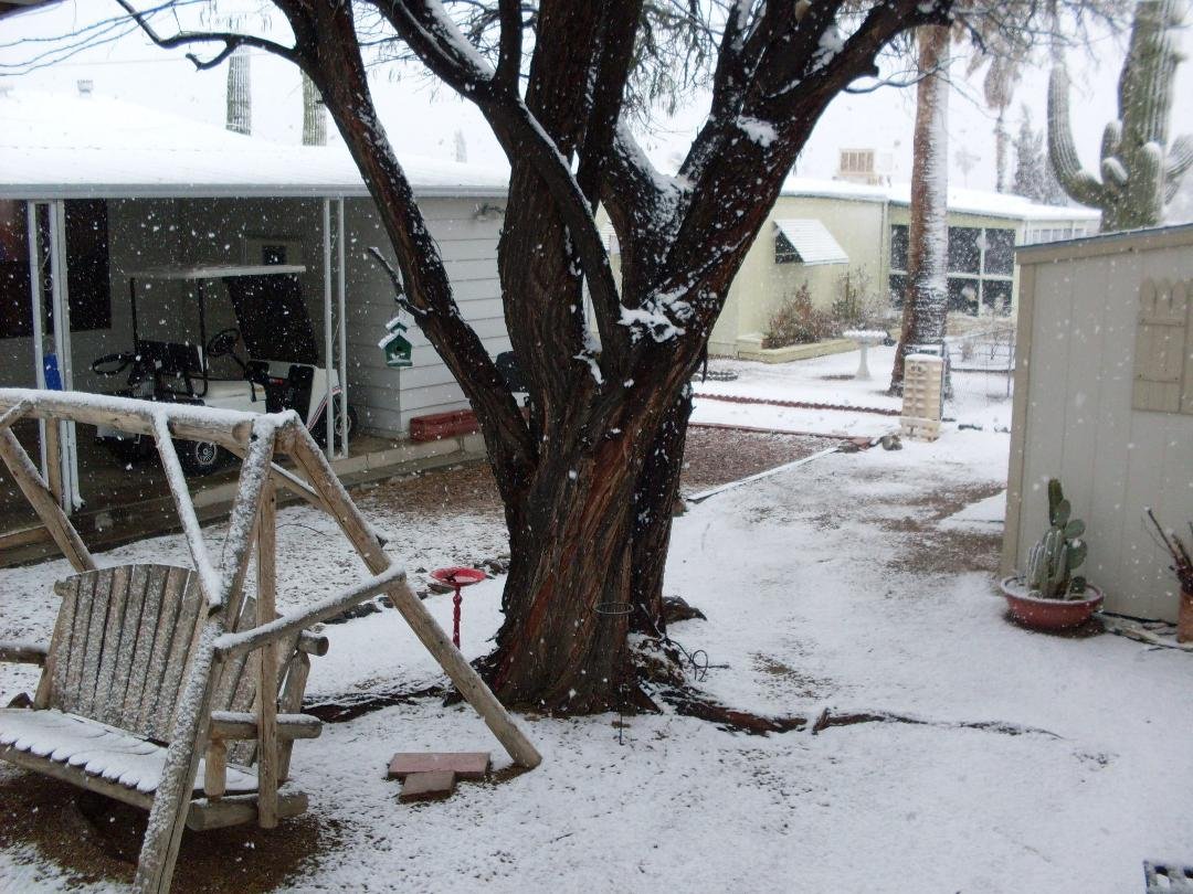 Whaaat?? I have a 1:00 tee time and there's this weird white stuff falling from the sky. We're all very frightened here.