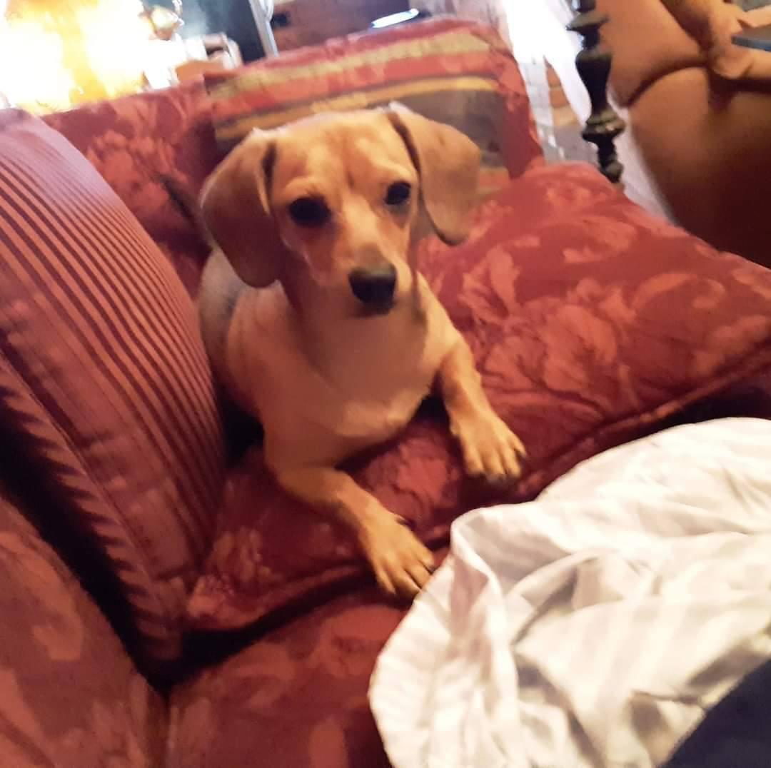 Silas