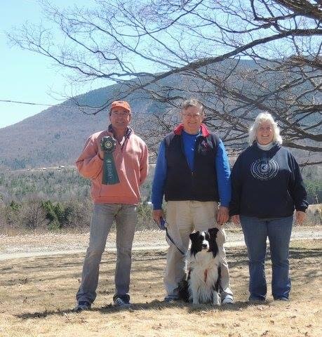 Sammy wins his Tracking Dog title!
