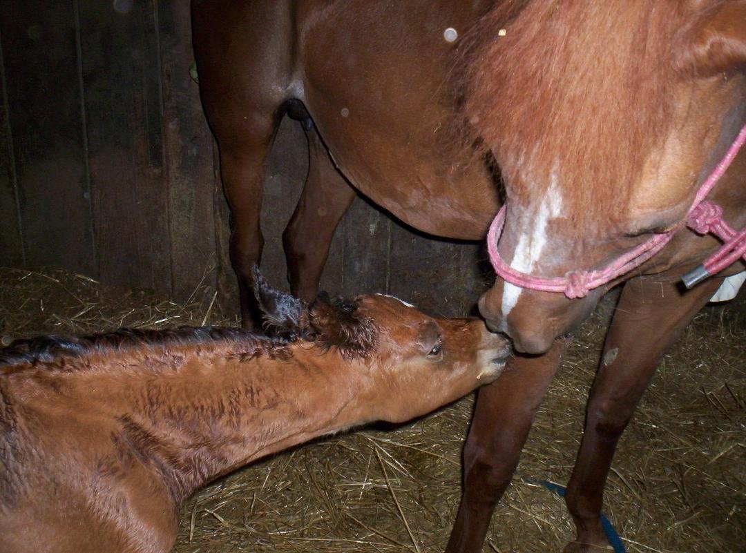 GIVE ME A LIL' KISSY