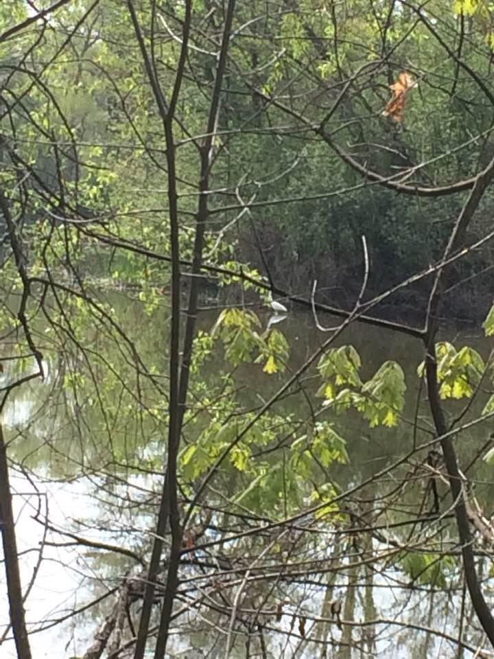 Tim Byrnes' album, Timeline photos