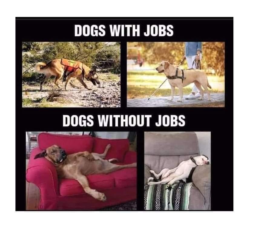 😄😅