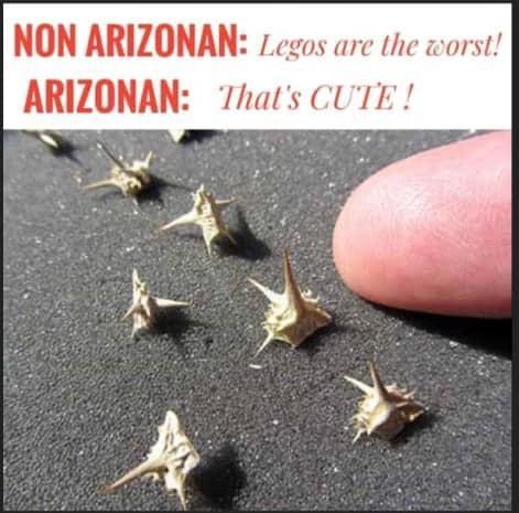 Been there done that. Make me hurt just looking at it. Barefoot summers in Phoenix.