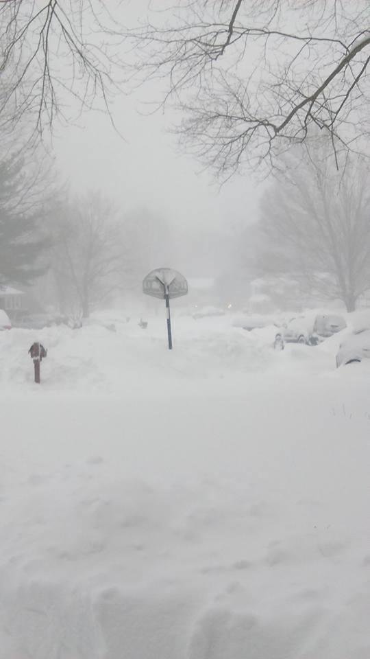 Snowed in!