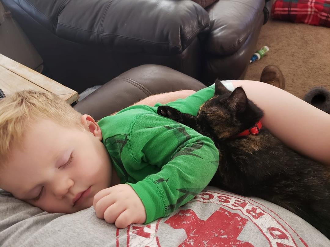Daddys home, so apparently everyone thinks its naptime.