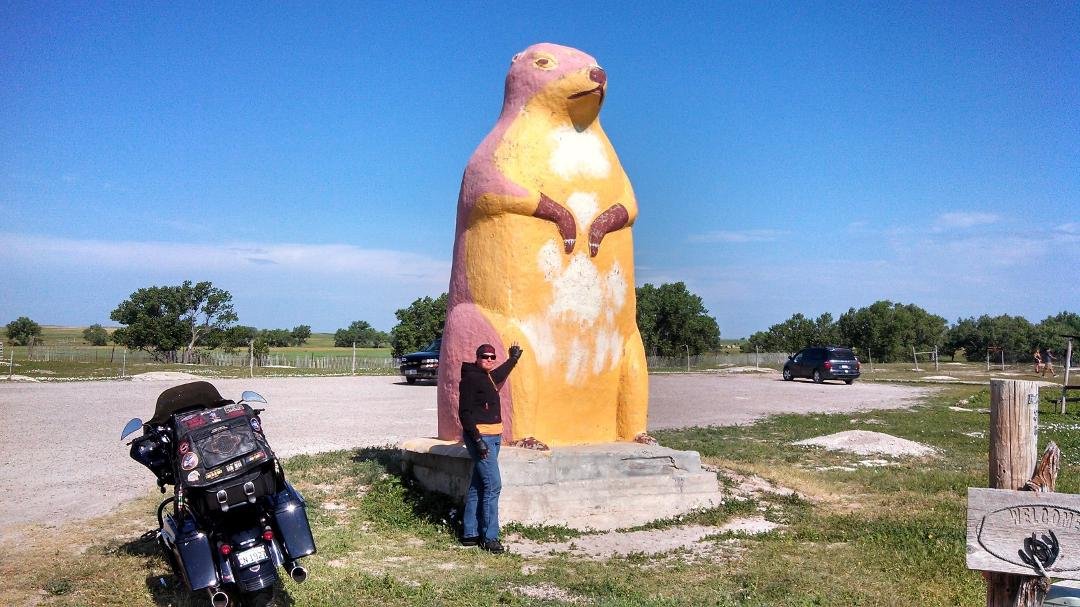 Worlds Largest Prairie Dog