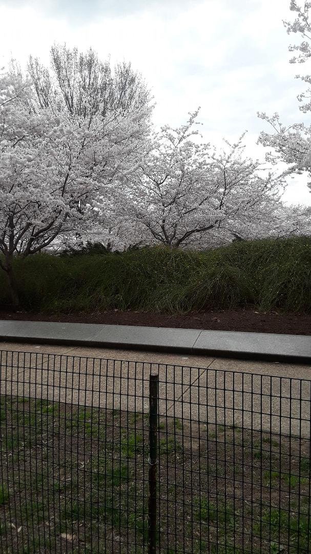 Sue Seals' album, Timeline Photos