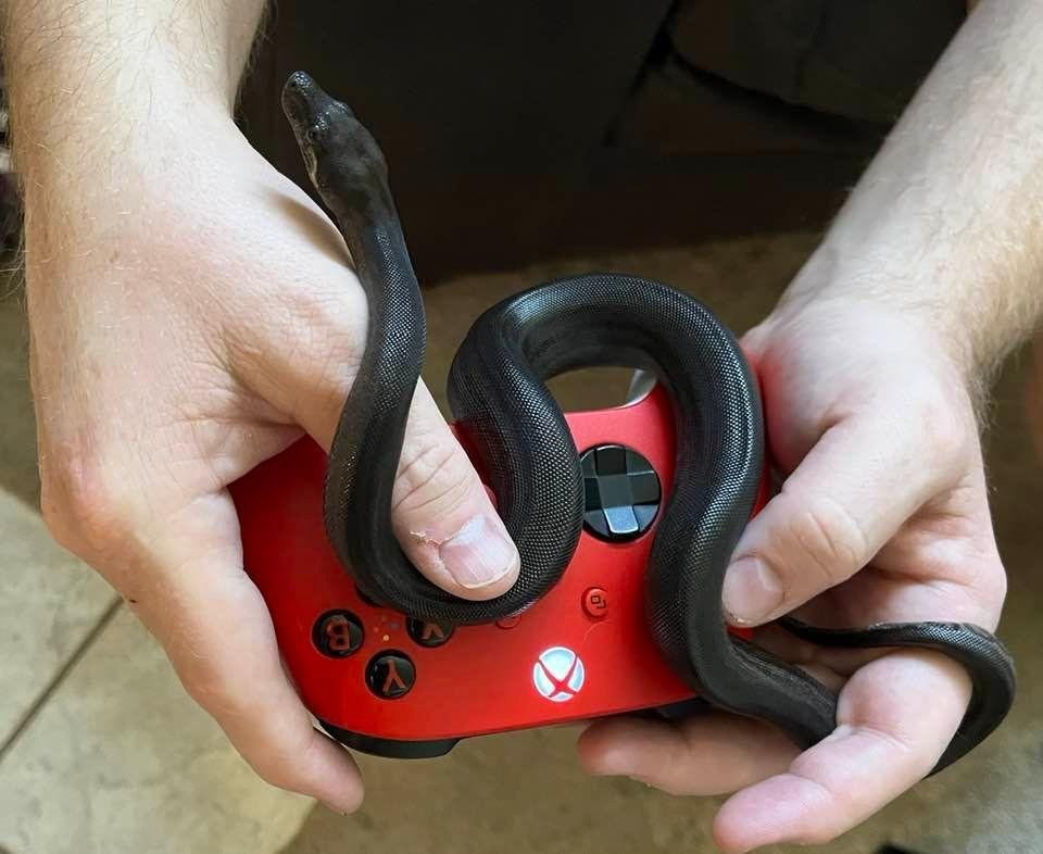 Gaming with style
