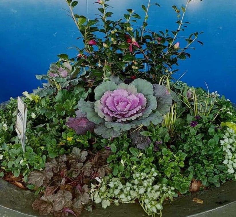 Beautiful planter outside of the Atlanta Airport