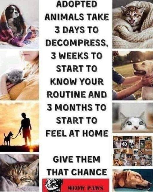 Roberta Goldberg's album, Timeline photos
