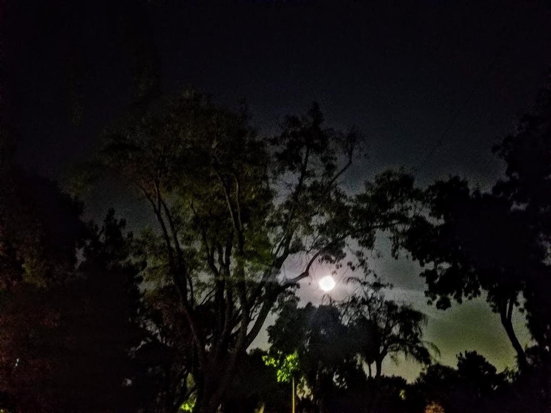 I am waiting for my professional photo of the Corn Moon from Laurie but until I get it, this is what my phone got at the end of our walk tonight.