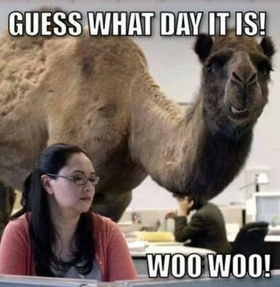 Dee Nicholson's album, Timeline Photos