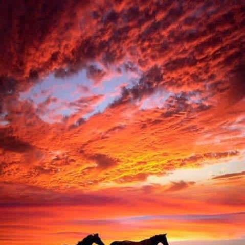 Good Morning! Have a wonderful day and weekend. Be safe. And please always remember to be kind...just be kind💞