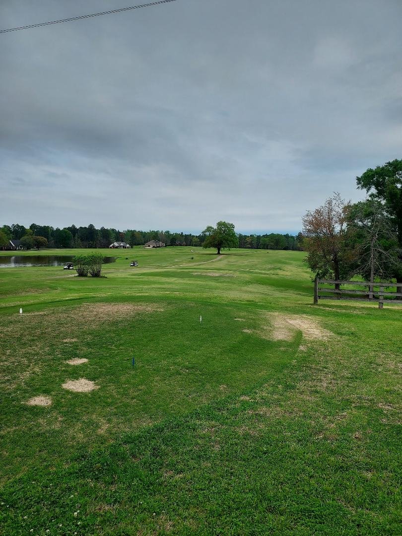 Saturday golf in the middle of nowhere.