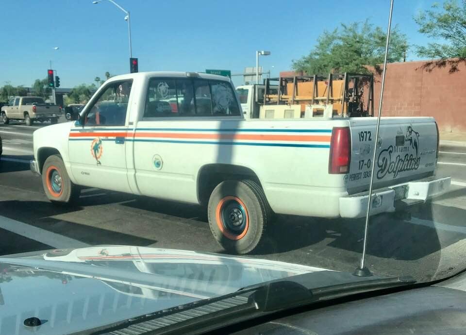 Bear Mobile! Where are you going Oso?