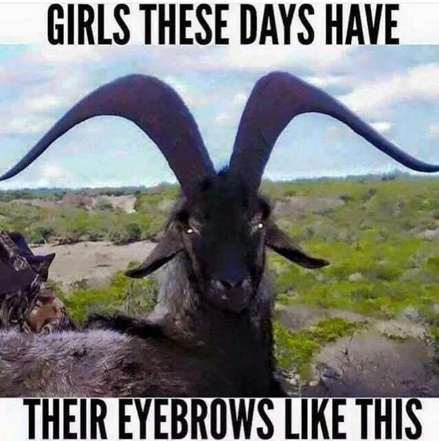 ...and those caterpillar eyelashes 🤨