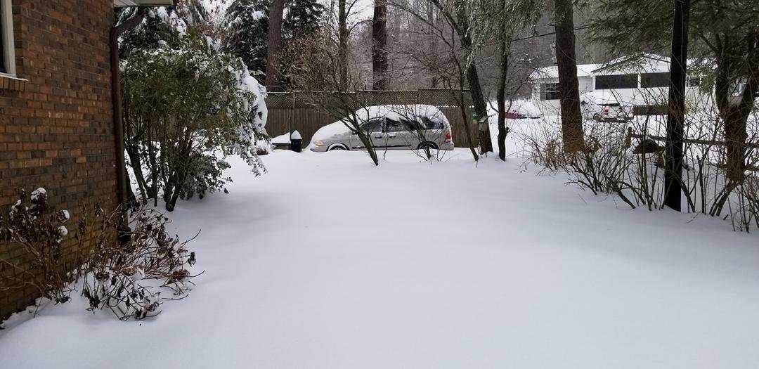 William Benney's album, Snow Storm December 2018 8th 9th ?