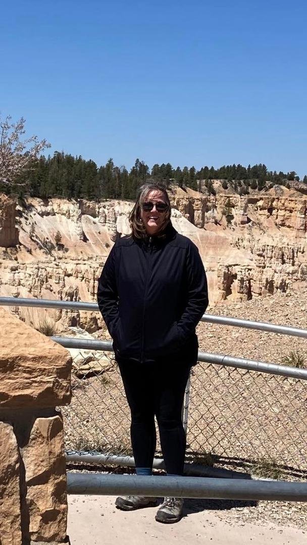 Diane Barnes' album, Mobile uploads