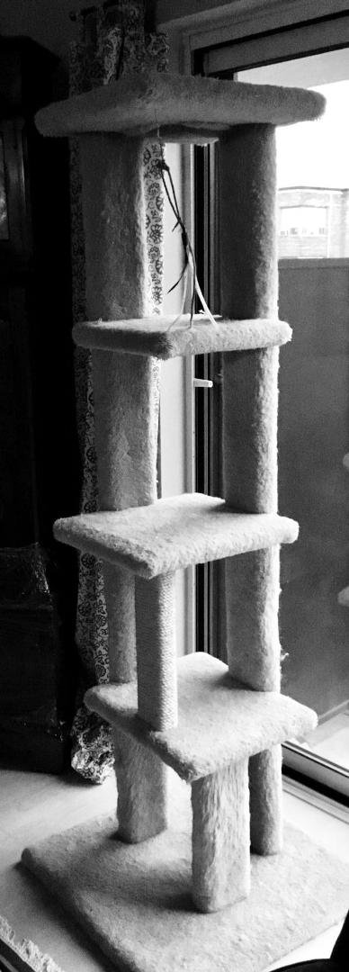 7 days, 7 black and white photos.
Day 6.