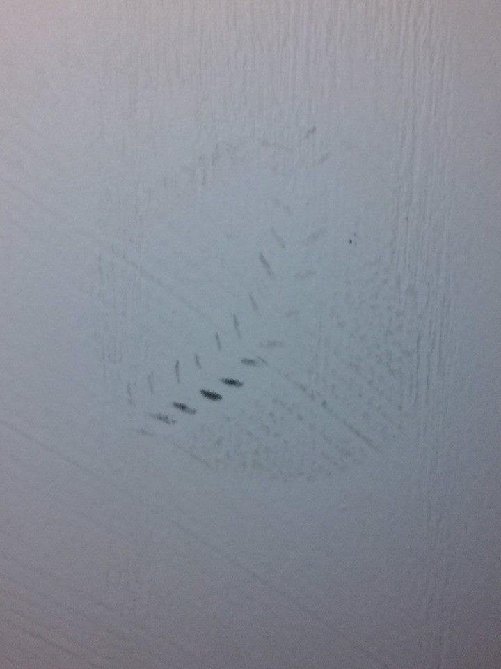 Hmm not sure but I think someone,Joshua Smith, has been throwing a baseball at my front door.