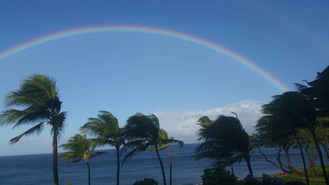 How about this rainbow ,from our room, as we get ready to leave Maui.