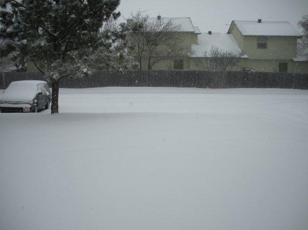 Debi Duff's album, Jan 2010 Storm