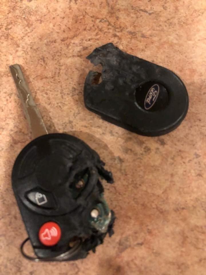 Well—so much for pulling cotton out of his toys—Cody managed to destroy the fob from one of Jerry’s care providers and completely disabling her car. Ugh!!!
