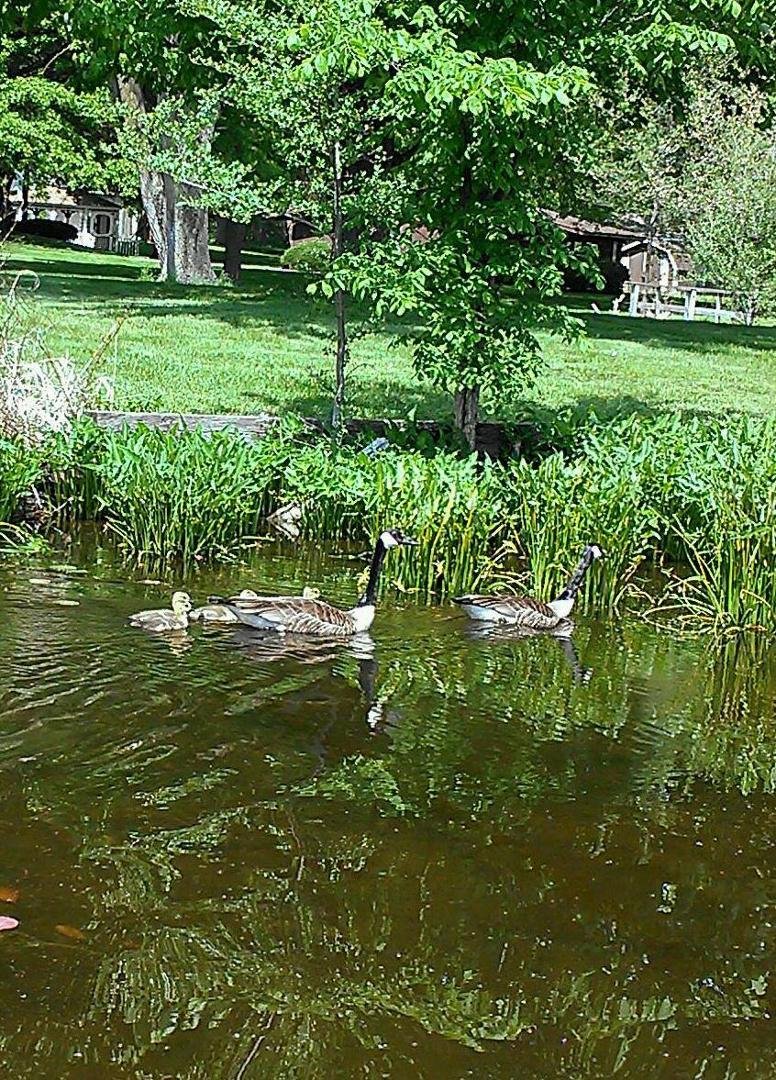 Mommy w her baby's this morning while we was fishing...