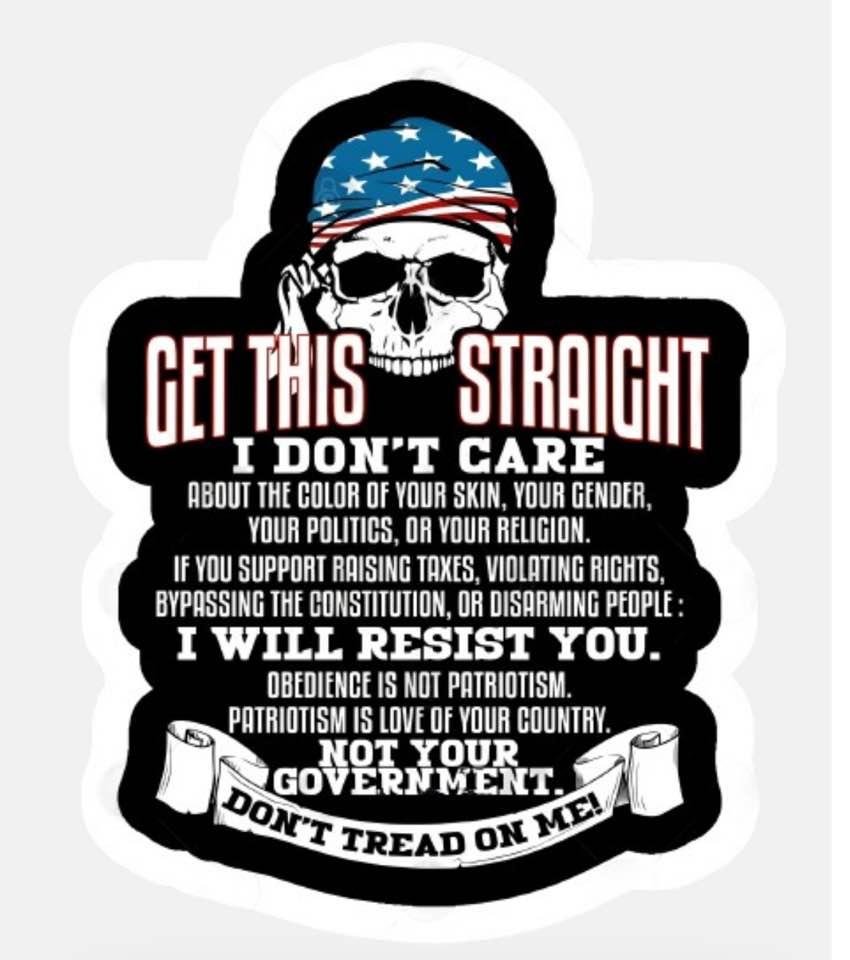 Patriotism is love of Country not Government.