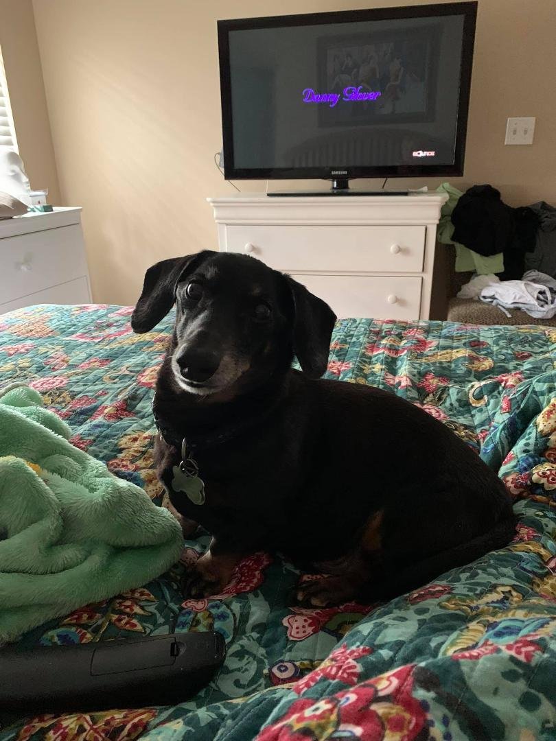 I need attention.