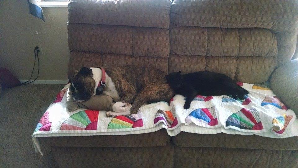 Wish they got along. Lol