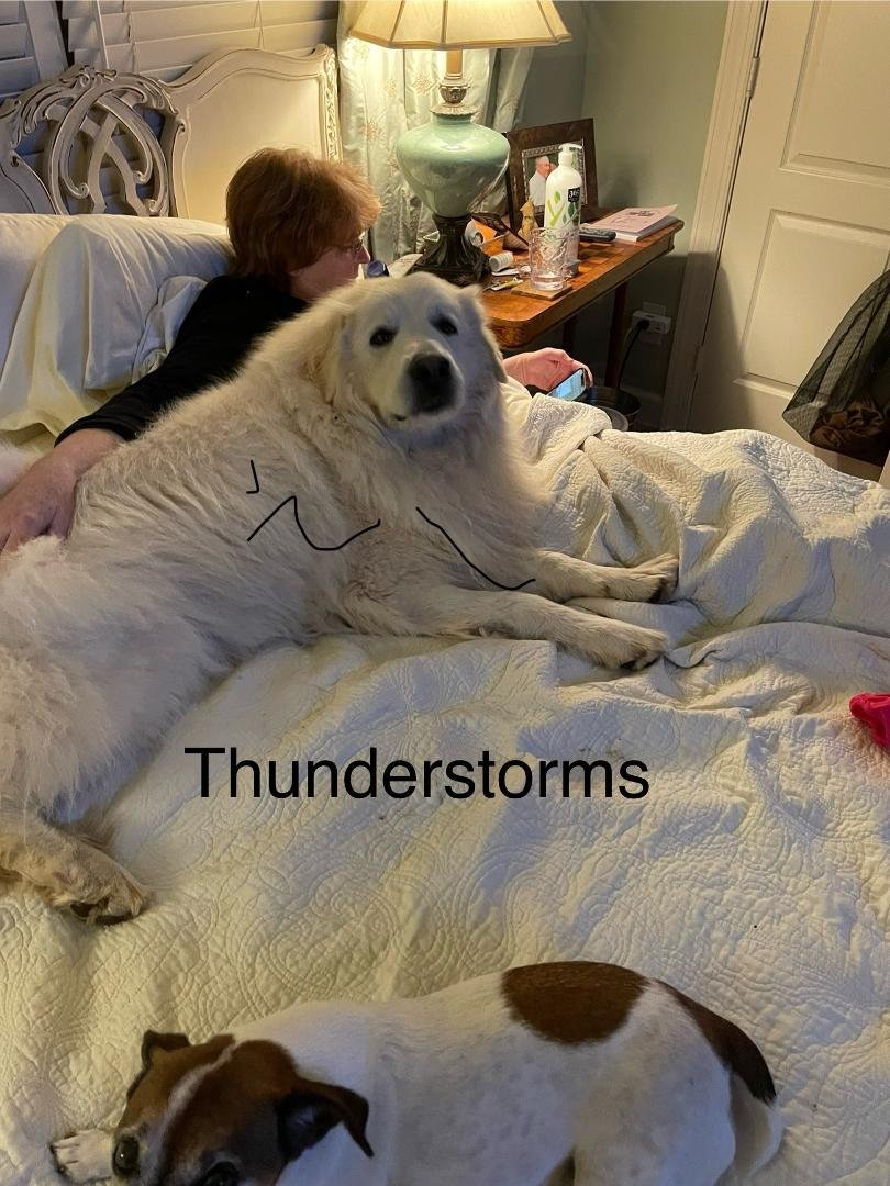 It’s loud out there!