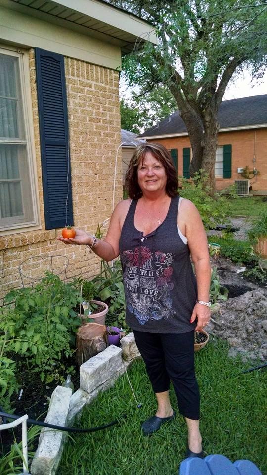 Nancy's first tomato, looking foward to many more. That woman is so talented and has great taste.