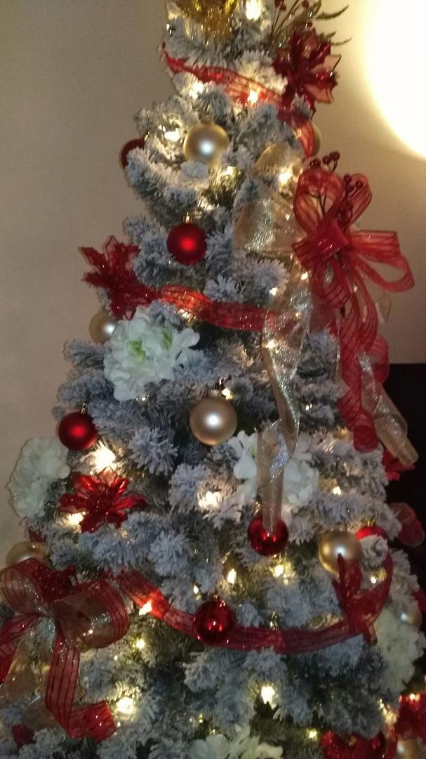 Rita Plazo's album, Timeline photos