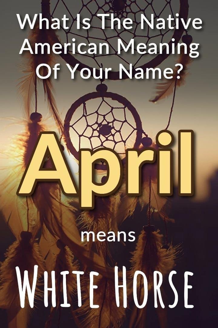 April Bloom's album, Timeline Photos