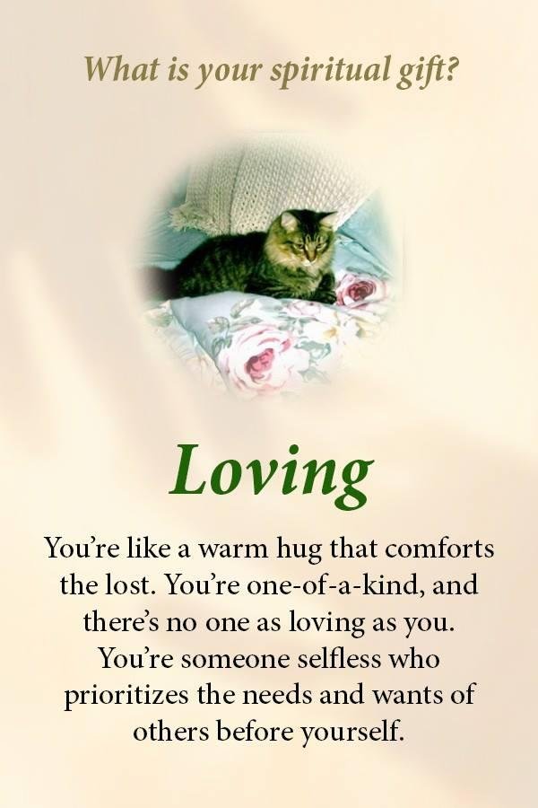 Sandra Niemeier's album, Timeline photos