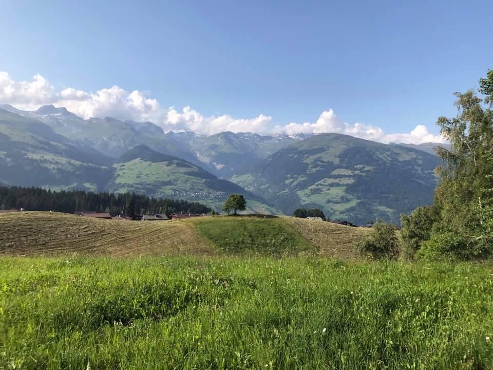 Thomas Herrmann's album, Mobile uploads
