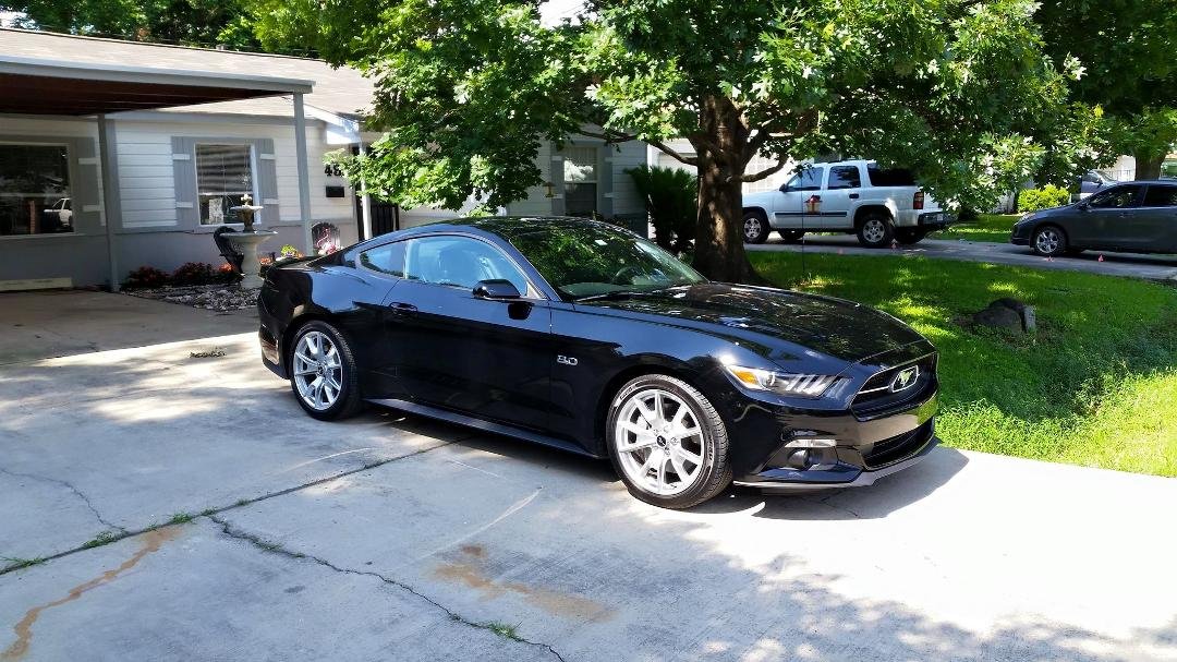 Terry's new baby! 50 year anniversary mustang