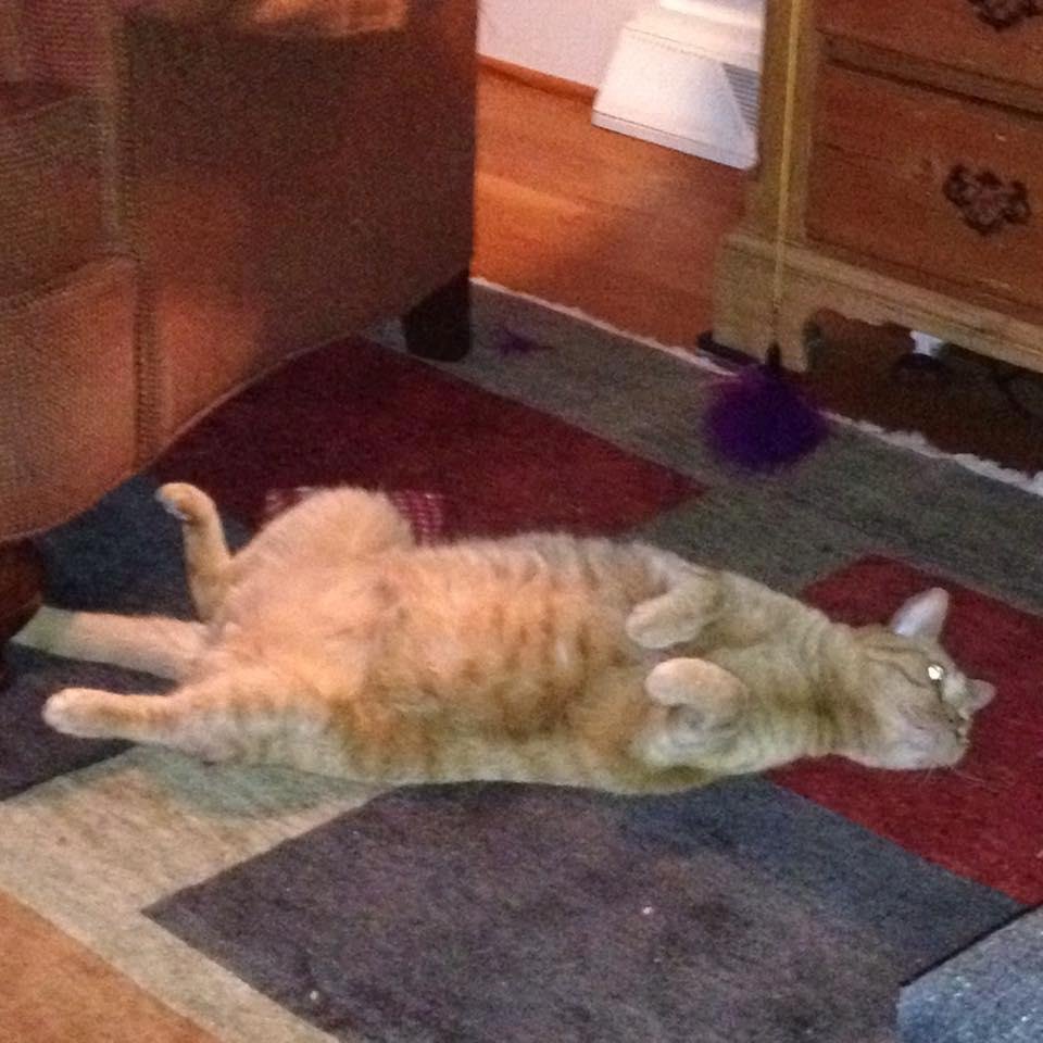 Tobey relaxed and waiting on Buddy Shepard to call Nite-Nite