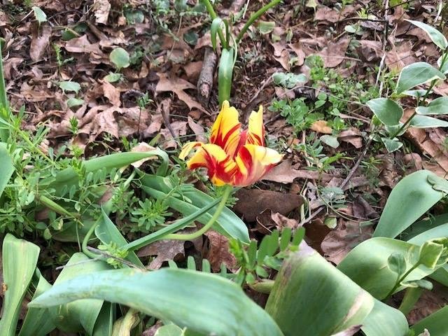 Dave Clark's album, Timeline Photos