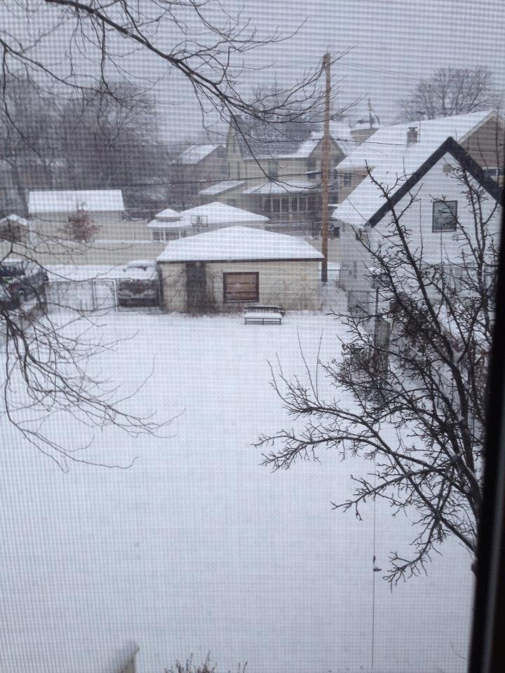 Snowing since last night in Chicago a at my son's house