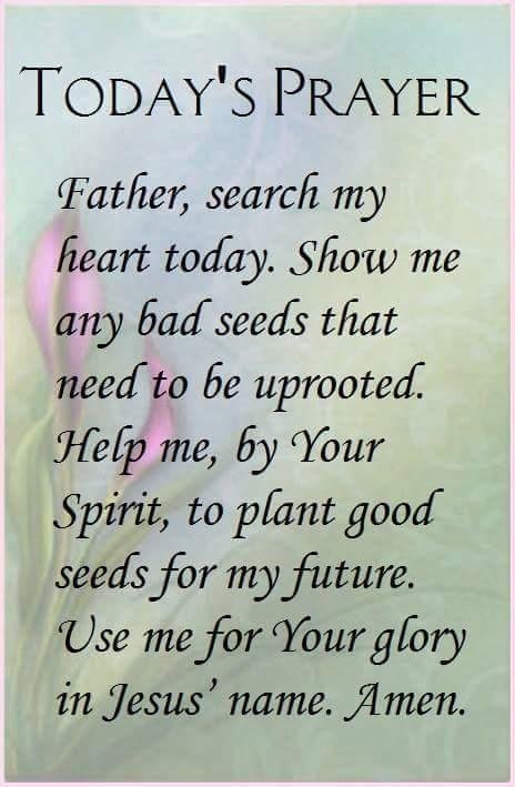 Sandra Graham's album, Mobile Uploads