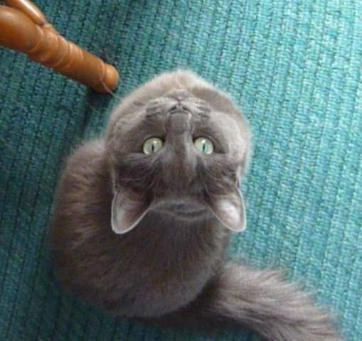 Carol Butler's album, Timeline photos