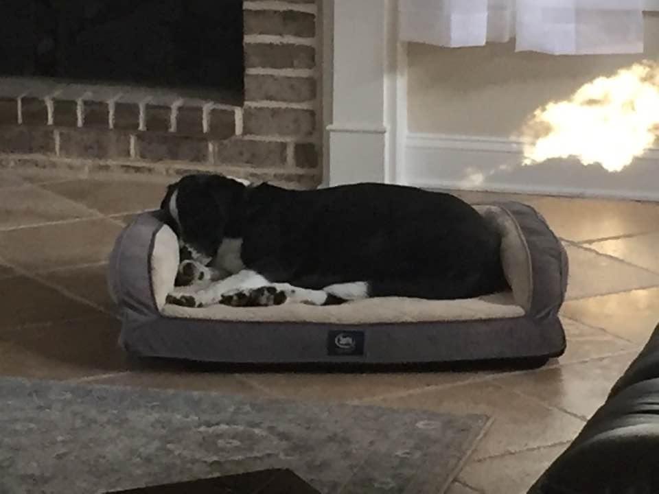 Apparently, Ike's into new shit.