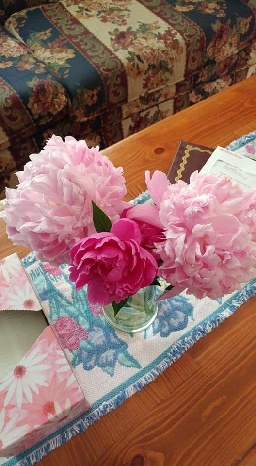 My sweet husband took the dogs out for a walk in our backyard and surprised me with these lovely peonies!!! He is a sweetheart and i love him!!!