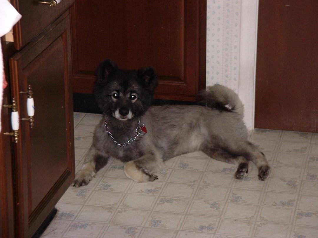 naked Nala