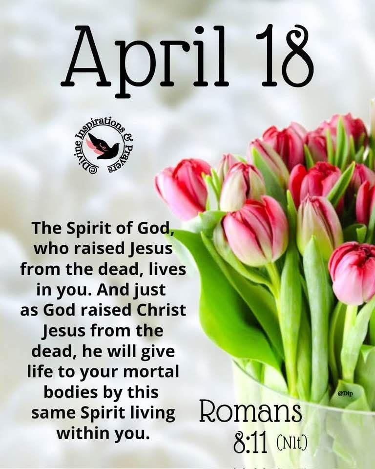 Michael Sparks' album, Timeline photos